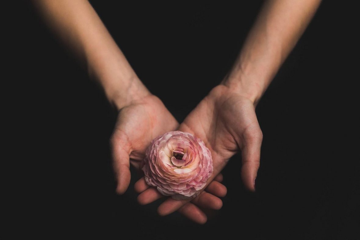Two hands holding a flower