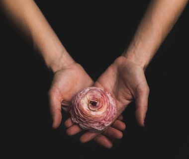Two hands holding a flower
